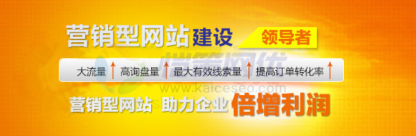愷策網(wǎng)優(yōu)營銷型建設(shè)領(lǐng)導者