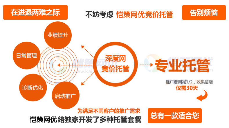 愷策網(wǎng)優(yōu)競(jìng)價(jià)托管服務(wù)套餐總有一款適合您